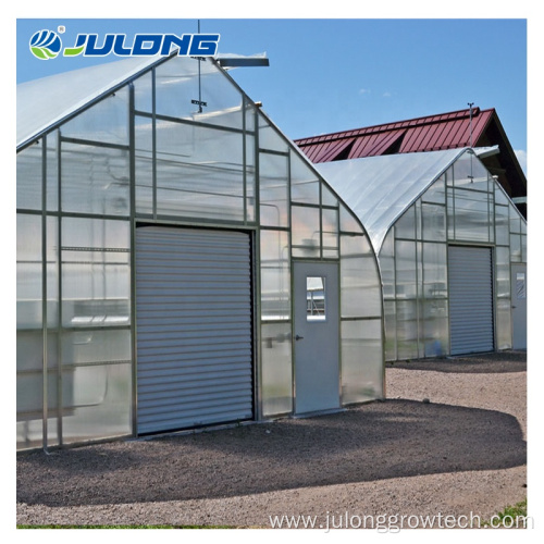 Single Span Tunnel Film Agricultural Greenhouse